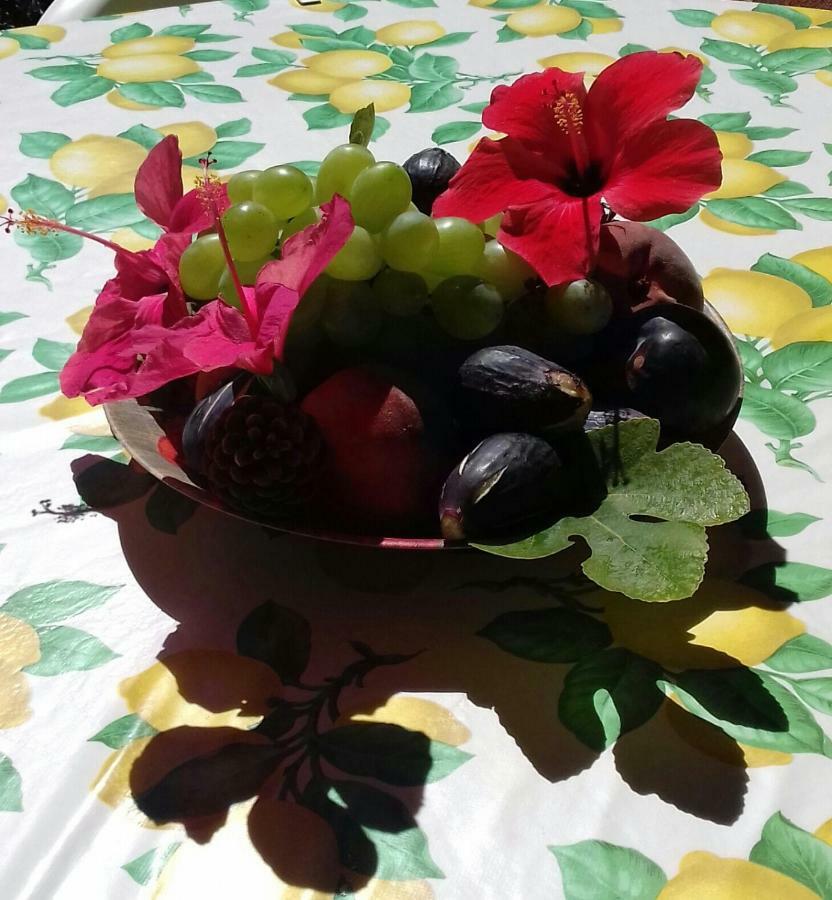Chia Zeffiro别墅 外观 照片